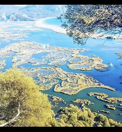 Caretta Caretta Ortaca (Mugla)